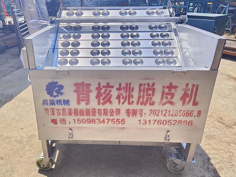 核桃清洗機(jī)